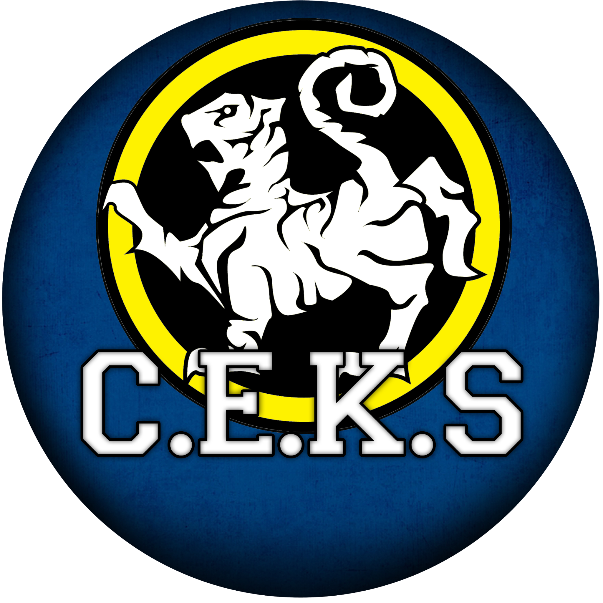 logo da escola ceks
